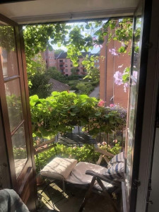 شركة حبيبة وبسمة